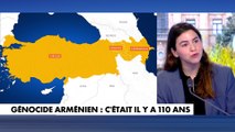 Anahit Akopian : «Il y a  une forme de continuité entre 1915 et aujourd'hui»
