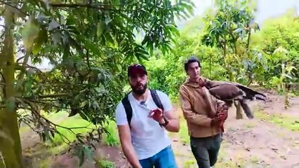 رحلة صيد للحيوانات البرية