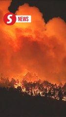 New Jersey wildfire could become state's largest in about 20 years