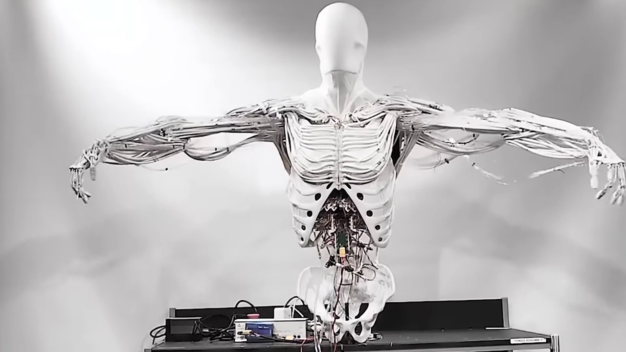 The First Full-Body MUSCULOSKELETAL Humanoid That Can Sweat SHOCKS The World!