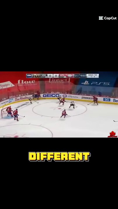 Unbelievable Hockey Hits Compilation!