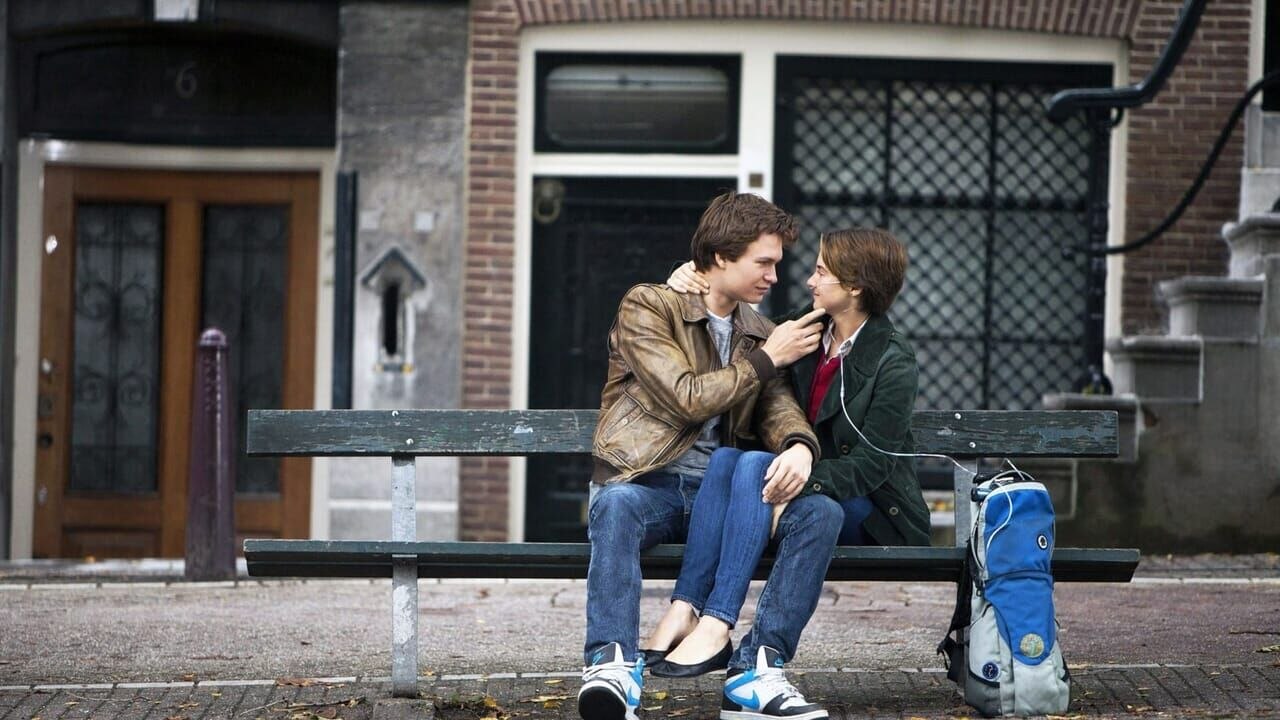 Nos étoiles contraires