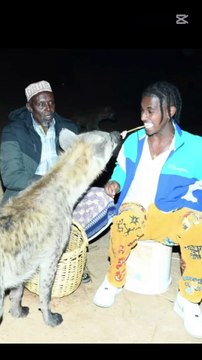 From feeding cute girls to feeding hyenas 😂 #funny #hyena #viralreels