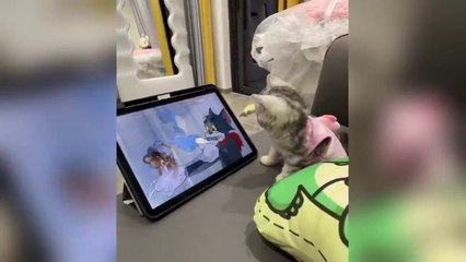 Funniest Cats and Dogs Clip 2025😼🐶Try Not To Laugh😜