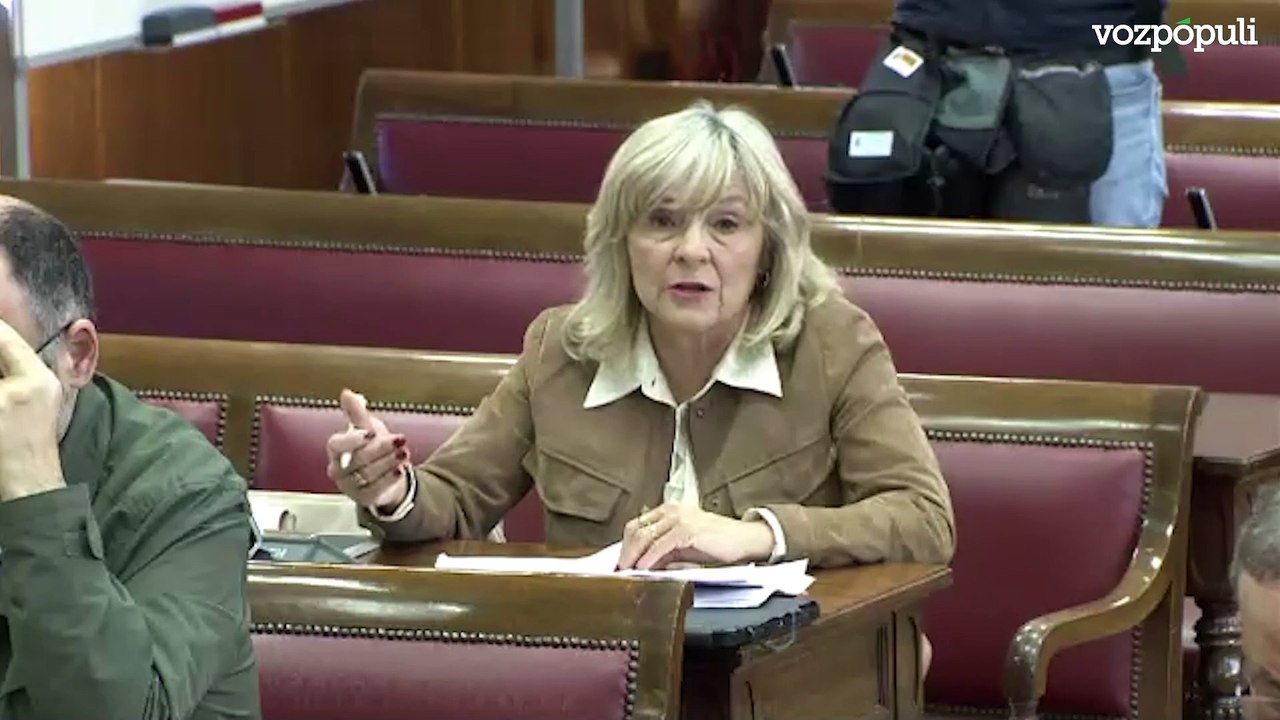 Óscar Puente minimiza el enchufe de Jésica en Ineco