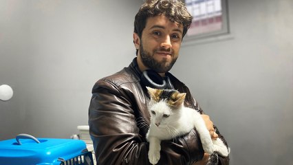 'Esenboğa' kedisine yeni yuva