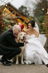 Groom surprised with dog at wedding
