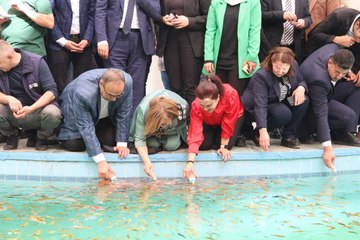 Bu park bambaşka: Balıklar biberonla besleniyor