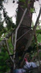 pic epeiche (🧳 Lors de mon roadtrip en Indre)