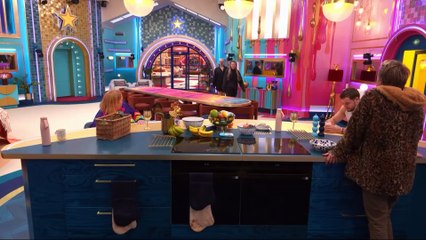 Celebrity BB Clip Wednesday 23rd April(2 of 2) from the 11pm to 2am live feed.