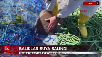 Ordu'da yasağa rağmen kalkan avlayan balıkçıların ağlarına el konuldu