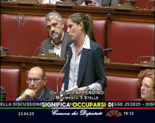 Appendino - Intervento alla Camera dei Deputati (24.04.25)