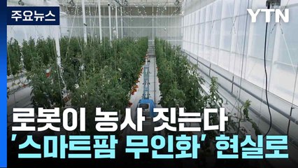 [녹색] 로봇이 농사 짓는다...'스마트팜 무인화' 현실로 / YTN