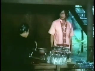 Wolf Girl (1974) // Classic Kung Fu Movies