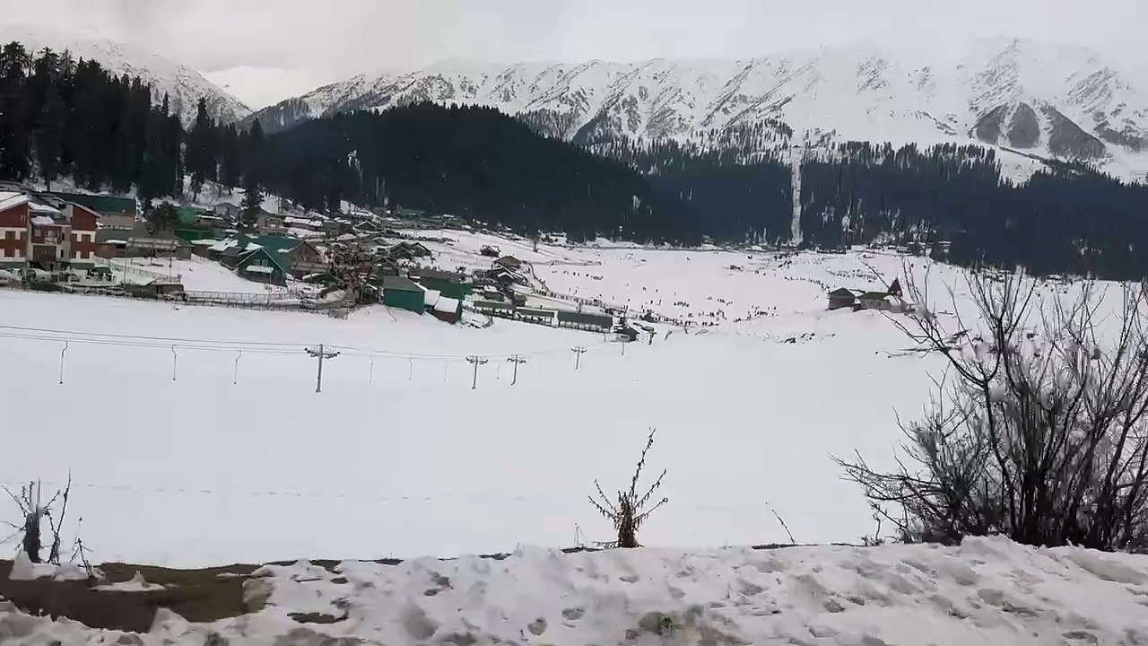 kashmir
