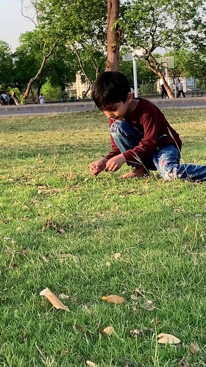 Playing in the Grass