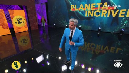 Planeta Incrível: Cristian Dimitrius vai à procura dos lobos-marinhos no México