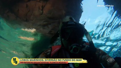 O animal mais leve do mundo? Zé do Bar não perde a piada e manda a resposta com tudo! |Melhor da Noite