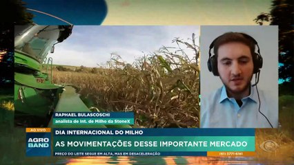 Preço do milho deve cair com a chegada da 2º safra