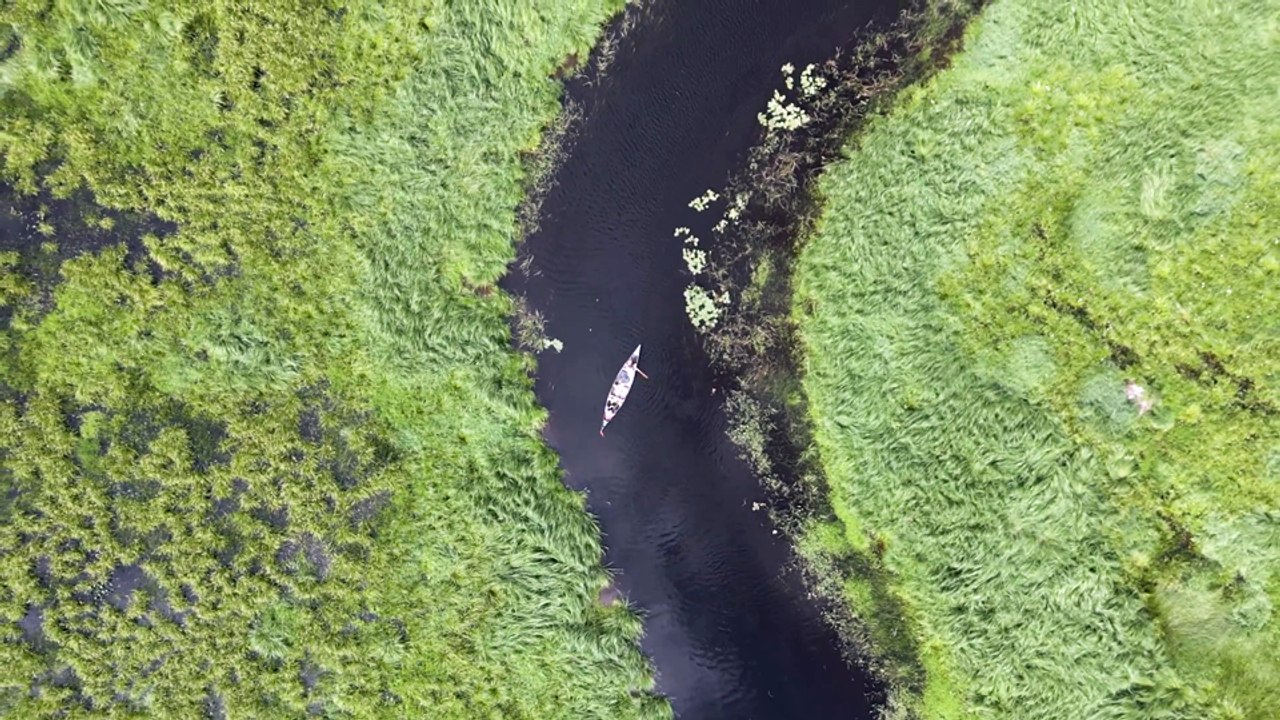 Mission to Marsh Trailer OV