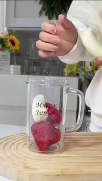 Portable juicer | Small juicer machine