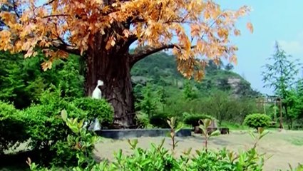 THIÊN NGOẠI PHI TIÊN - TẬP 01 - (Thuyết minh)