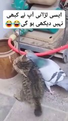 Dear Diary - کیوٹ سی لڑاٸی 😂😂❤(HD)