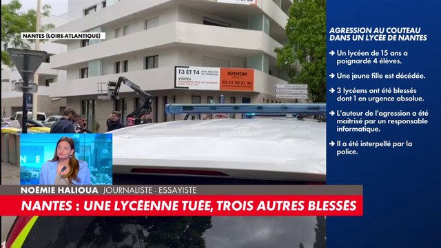 Noémie Halioua : «On bascule dans un monde où il va falloir protéger les lieux publics»