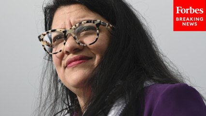 'Our Country Is Not Divided, We're Disconnected': Rashida Tlaib Rallies Voters To 'Connect'