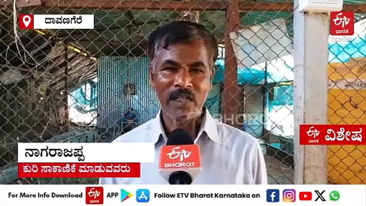 ಕುರಿ ಸಾಕಿ ಯಶ ಕಂಡ ಬಿಇ ಪದವೀಧರ: ಸರ್ಕಾರಿ ಕೆಲಸ ಸಿಗದೇ ಈ ದಾರಿ ಹಿಡಿದು ಲಕ್ಷ ಲಕ್ಷ ಲಾಭ ಗಳಿಸುತ್ತಿರುವ ಇಂಜಿನಿಯರ್
