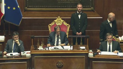 Maiorino - Intervento in Senato (24.04.25)