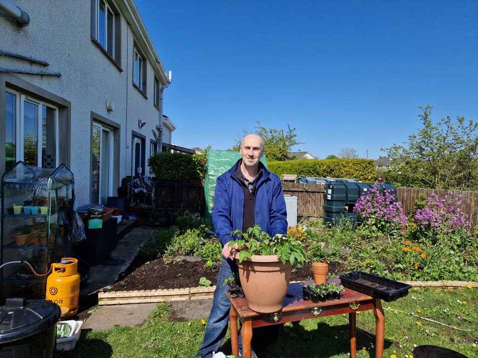 Vital to give young vegetable plants space