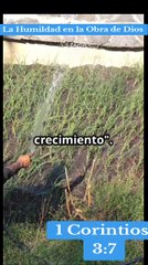 La Humildad en la Obra de Dios