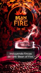 Coincidencia o cálculo político, el crecimiento patrimonial del clan Bukele no deja lugar a dudas.