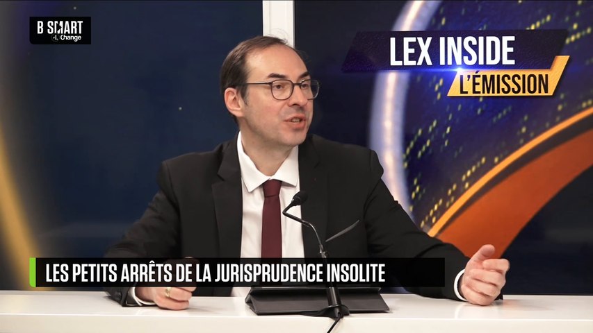 Les petits arrêts de la jurisprudence insolite