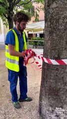 Brescia - Piazzetta Monsignor Renato Monolo  (24.04.25)