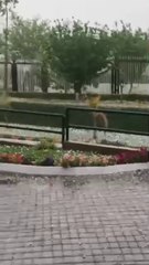 Rawalpindi islamabad mein aoly