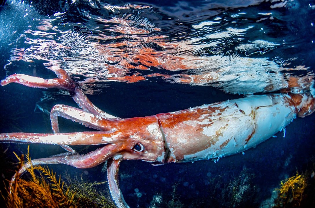 Something Strange Is Happening in the Deep Ocean