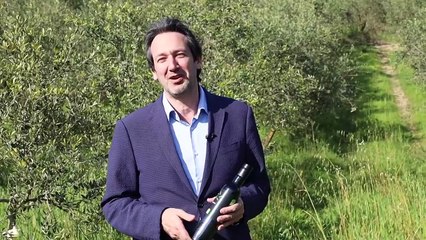 Cammarano - CENTOCINQUESIMA TAPPA DEL TOUR NELLE AZIENDE E NELLE IMPRESE... (24.04.25)