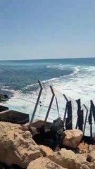 Tubarões atacam e matam homem na praia de Hadera veja vídeo