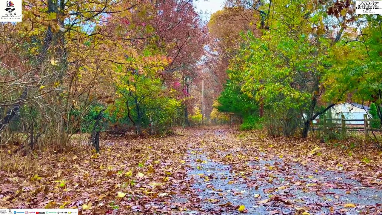 YAAR KO HUM NE JA BAJA DEKHA SONG ABIDA PARVEEN BOLCKBUSTER SUPERHIT