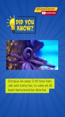 Teen Adbhut Scientific Facts Jo Aapko Hairaan Kar Denge! | Hindi Me Jaaniye 🔥🧠🐙