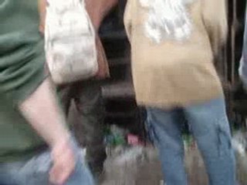 tekos crucey 2008 mur nawak