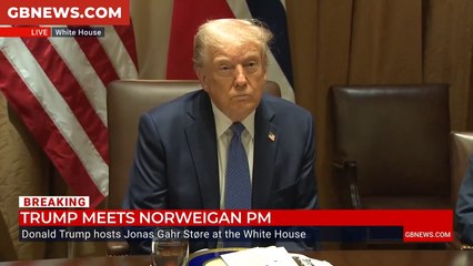 WATCH: Donald Trump says both Ukraine and Russia 'want peace'