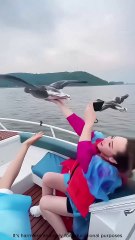 The Shocking Moment — Birds and People Are Surfing Together! 🦅🌊 #shorts