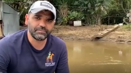 Alerta Ignorado: IHP advertiu sobre perigo de 'ceva' antes de ataque fatal de onça