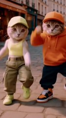 Funny | entertaining | cute cat | do not laugh | try not to laugh cat | dance |