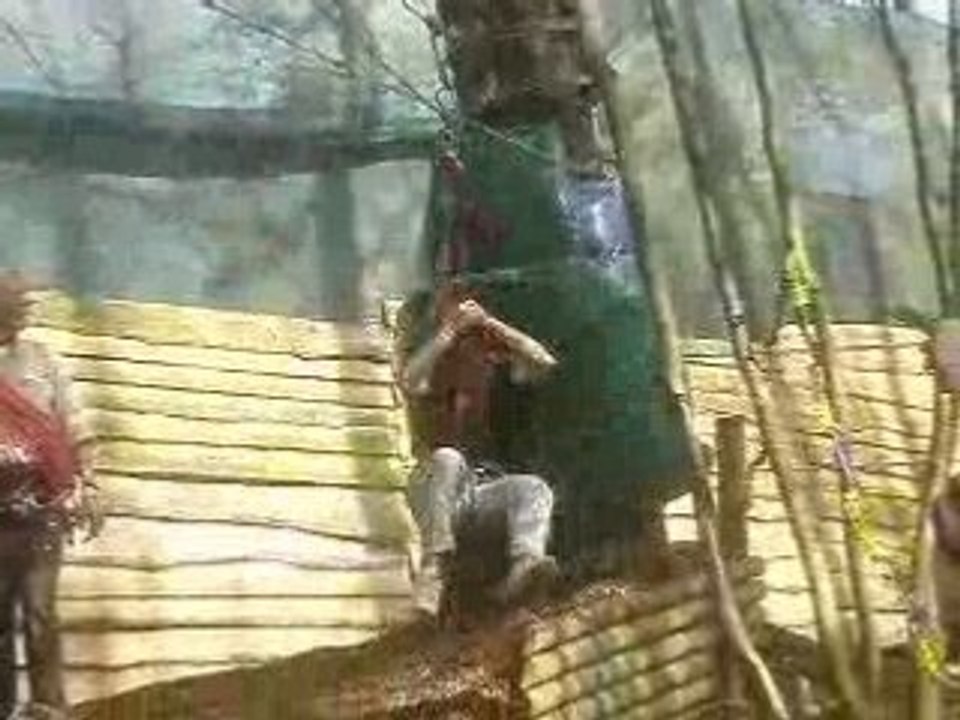 Saut de l'ange raté