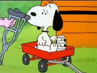 A turma do Charlie Brown e Snoopy E09