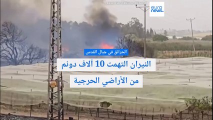 الحرائق في جبال القدس: النيران التهمت 10 آلاف دونم من الأراضي الحرجية